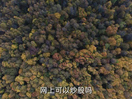 在線(xiàn)股票大廳,股票大廳的營(yíng)業(yè)時(shí)間