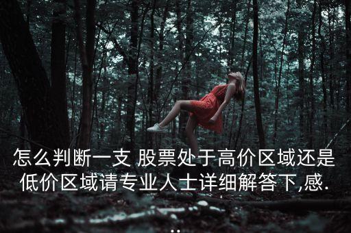 怎么判斷一支 股票處于高價區(qū)域還是低價區(qū)域請專業(yè)人士詳細解答下,感...