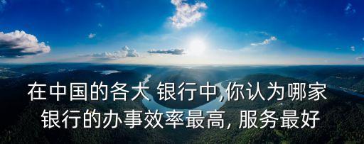 在中國的各大 銀行中,你認(rèn)為哪家 銀行的辦事效率最高, 服務(wù)最好