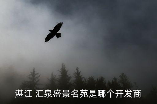湛江 匯泉盛景名苑是哪個(gè)開(kāi)發(fā)商