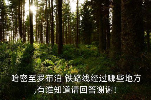  哈密至羅布泊 鐵路線經(jīng)過哪些地方,有誰(shuí)知道請(qǐng)回答謝謝!