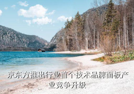  京東方推出行業(yè)首個技術品牌面板產(chǎn)業(yè)競爭升級