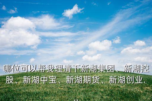 哪位可以幫我理清下新湖集團(tuán)、新湖控股、新湖中寶、新湖期貨、新湖創(chuàng)業(yè)...