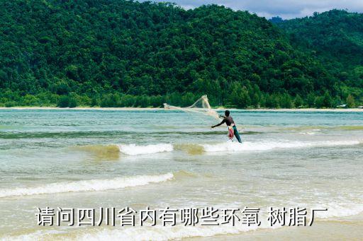 請(qǐng)問(wèn)四川省內(nèi)有哪些環(huán)氧 樹(shù)脂廠