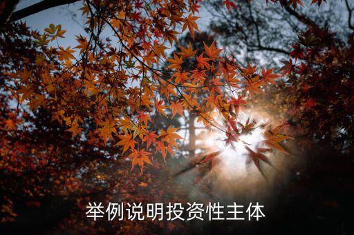 舉例說(shuō)明投資性主體