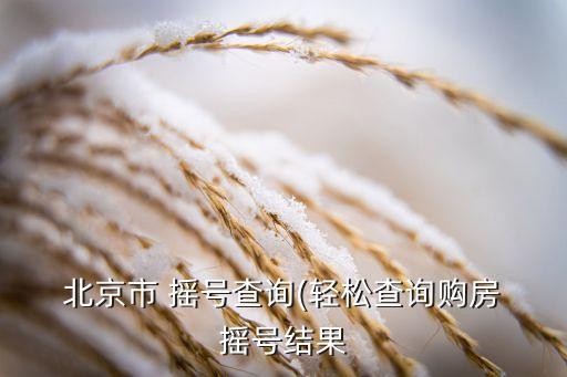  北京市 搖號(hào)查詢(輕松查詢購房 搖號(hào)結(jié)果