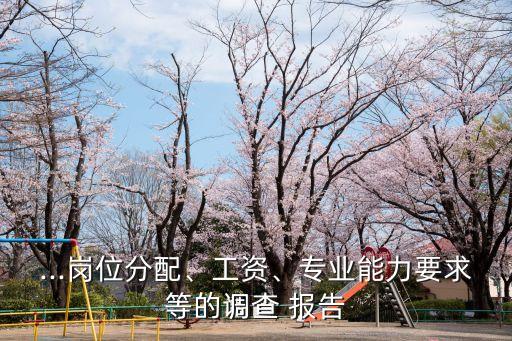 ...崗位分配、工資、專業(yè)能力要求等的調(diào)查 報(bào)告
