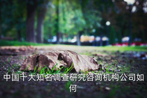 中國十大知名調(diào)查研究咨詢機(jī)構(gòu)公司如何