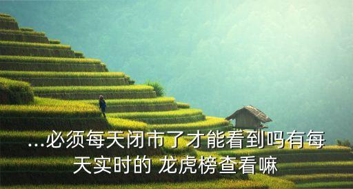 ...必須每天閉市了才能看到嗎有每天實時的 龍虎榜查看嘛