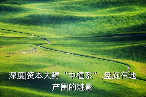 深度|資本大鱷“中植系”,盤(pán)旋在地產(chǎn)圈的魅影