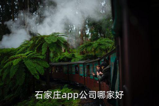 濟南峰占科技有限公司,濟南森峰科技有限公司怎么樣
