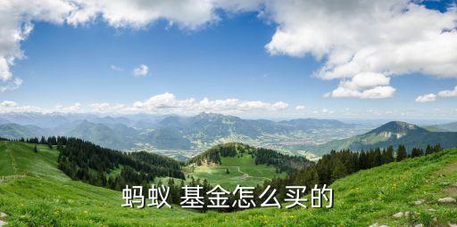 螞蟻 基金怎么買(mǎi)的