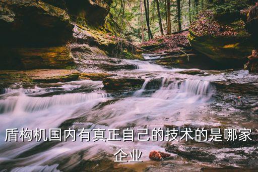 盾構機國內(nèi)有真正自己的技術的是哪家企業(yè)