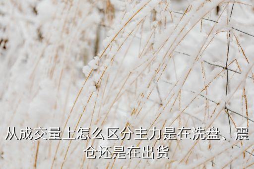 從成交量上怎么區(qū)分主力是在洗盤(pán)、震倉(cāng)還是在出貨