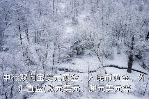 中行雙向?qū)毭涝S金、人民幣黃金、外匯直盤(pán)(歐元美元、澳元美元等