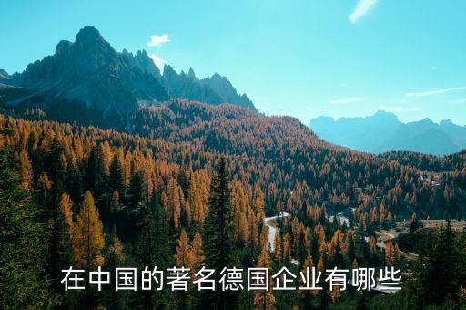 在中國(guó)的著名德國(guó)企業(yè)有哪些