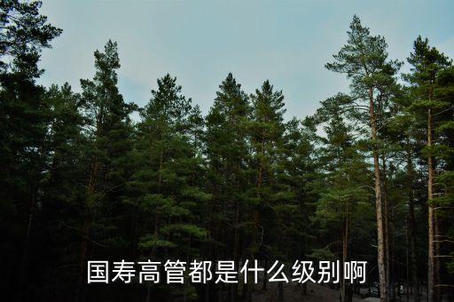 中國人壽副部級(jí)央企,中國太平人壽是央企嗎