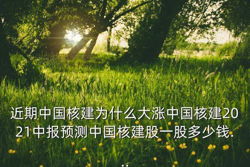 近期中國核建為什么大漲中國核建2021中報(bào)預(yù)測中國核建股一股多少錢...