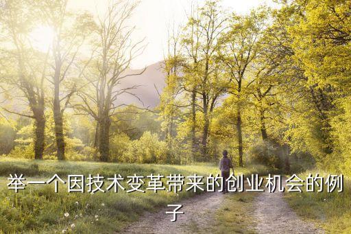 舉一個因技術(shù)變革帶來的創(chuàng)業(yè)機會的例子