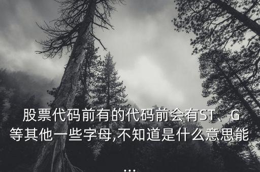  股票代碼前有的代碼前會有ST、G等其他一些字母,不知道是什么意思能...