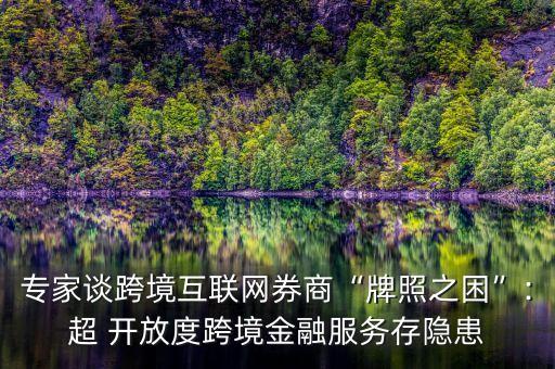 專家談跨境互聯(lián)網(wǎng)券商“牌照之困”:超 開(kāi)放度跨境金融服務(wù)存隱患