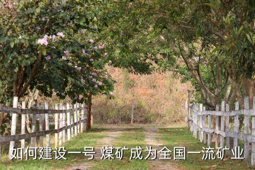 如何建設(shè)一號 煤礦成為全國一流礦業(yè)
