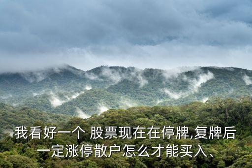 我看好一個(gè) 股票現(xiàn)在在停牌,復(fù)牌后一定漲停散戶怎么才能買入、