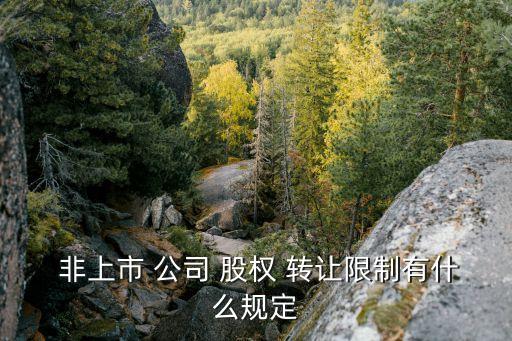  非上市 公司 股權 轉讓限制有什么規(guī)定