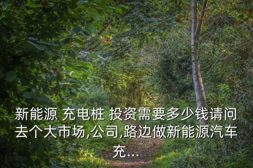 新能源 充電樁 投資需要多少錢請問去個(gè)大市場,公司,路邊做新能源汽車充...