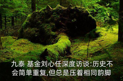  九泰 基金劉心任深度訪談:歷史不會(huì)簡單重復(fù),但總是壓著相同韻腳