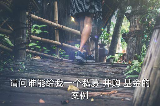 請問誰能給我一個(gè)私募 并購 基金的案例