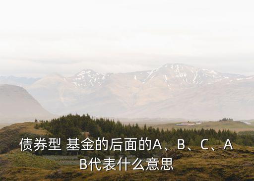 債券型 基金的后面的A、B、C、AB代表什么意思
