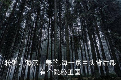 聯(lián)想、海爾、美的,每一家巨頭背后都有個(gè)隱秘王國