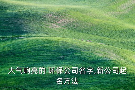 上海潔晟環(huán)?？萍?上海辨潔環(huán)保科技有限公司