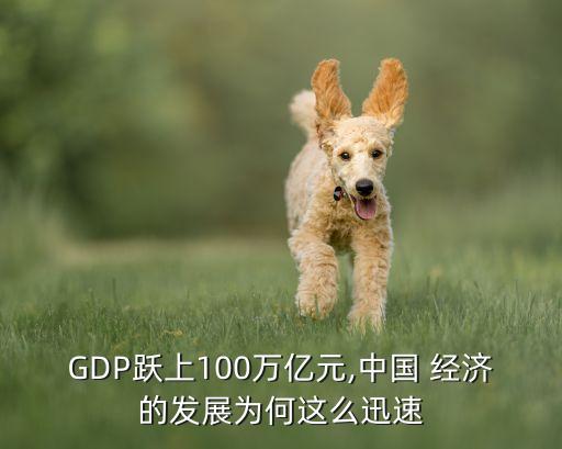 GDP躍上100萬億元,中國(guó) 經(jīng)濟(jì)的發(fā)展為何這么迅速