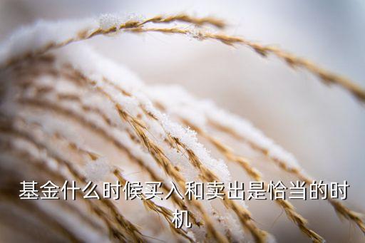  基金什么時候買入和賣出是恰當(dāng)?shù)臅r機(jī)