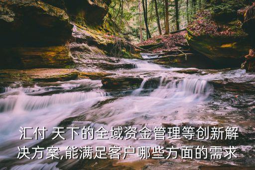  匯付 天下的全域資金管理等創(chuàng)新解決方案,能滿(mǎn)足客戶(hù)哪些方面的需求