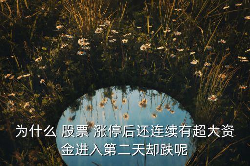 為什么 股票 漲停后還連續(xù)有超大資金進入第二天卻跌呢