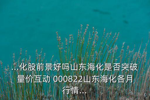 ...化股前景好嗎山東海化是否突破量?jī)r(jià)互動(dòng) 000822山東?；髟滦星?..