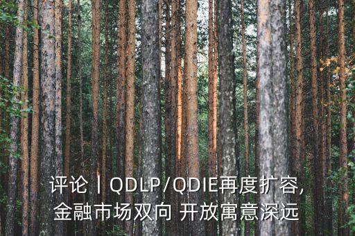 評(píng)論丨QDLP/QDIE再度擴(kuò)容,金融市場(chǎng)雙向 開(kāi)放寓意深遠(yuǎn)