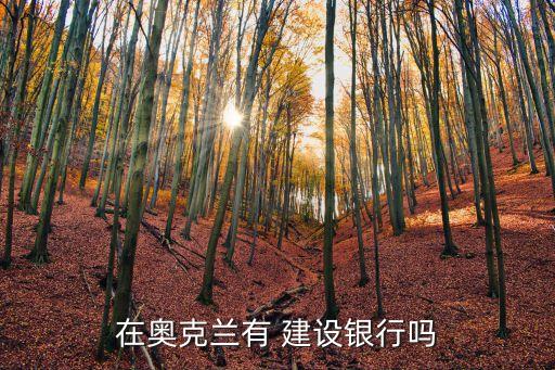 國外有建設銀行嗎,在國外怎么打建設銀行客服電話