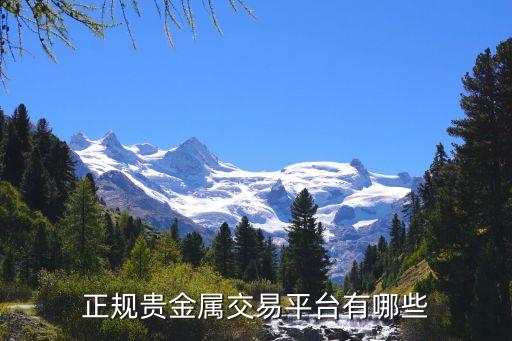 中瑞大成金融信息服務有限公司