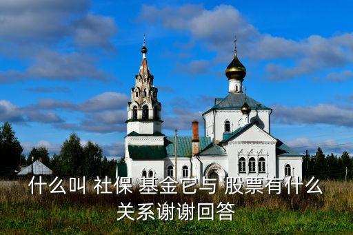 全國(guó)社?；鹜顿Y的股票,社?；?023年投資的股票