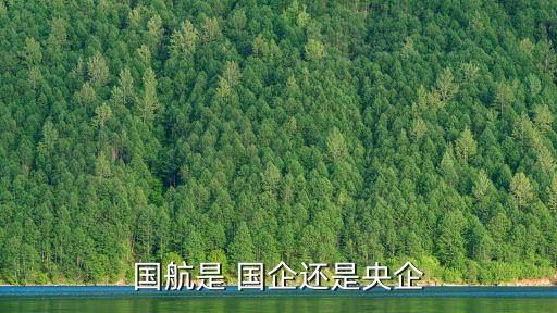 國(guó)航是 國(guó)企還是央企