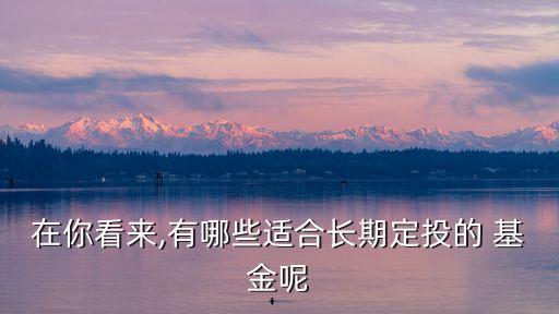 在你看來,有哪些適合長(zhǎng)期定投的 基金呢