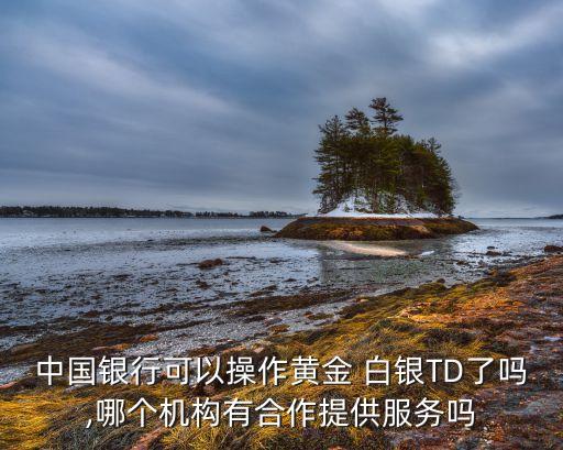 中國銀行可以操作黃金 白銀TD了嗎,哪個(gè)機(jī)構(gòu)有合作提供服務(wù)嗎