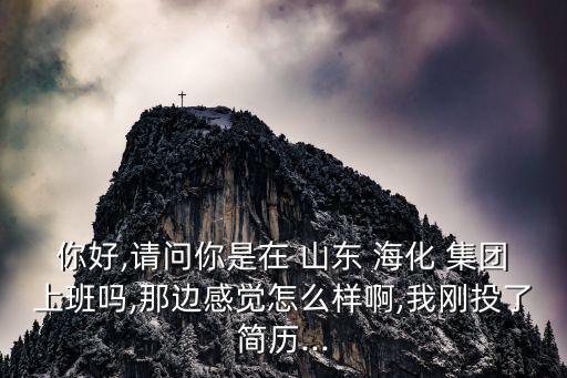 你好,請(qǐng)問你是在 山東 ?；?集團(tuán)上班嗎,那邊感覺怎么樣啊,我剛投了簡(jiǎn)歷...