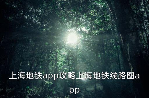 上海地鐵app攻略上海地鐵線(xiàn)路圖app