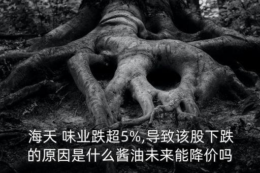  海天 味業(yè)跌超5%,導(dǎo)致該股下跌的原因是什么醬油未來(lái)能降價(jià)嗎