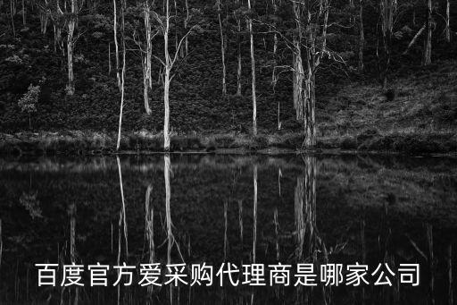 百度官方愛(ài)采購(gòu)代理商是哪家公司